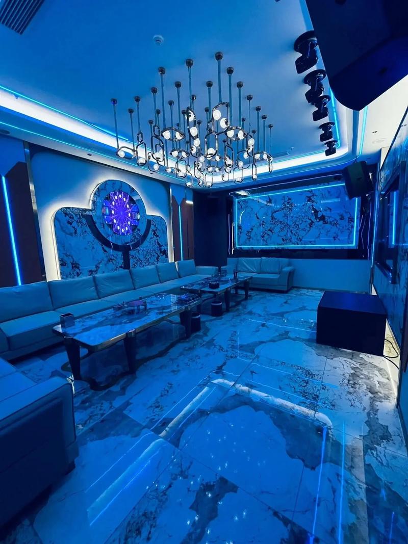 重庆商务ktv哪里有优质推荐-奉节县ktv预订